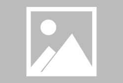 纽约尼克斯训练开放日，集结日伤情更新引欢呼，CBA季后赛在即，资深球员宣示担当的简单介绍-JBO投注平台